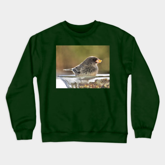 Seeds to Savour No.2 - Dark-Eyed Junco Crewneck Sweatshirt by MaryLinH